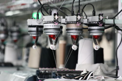 即墨区精准把脉，以营商环境优化助力纺织服装产业破浪前行